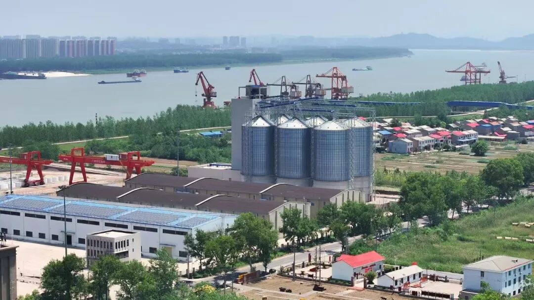 J9集团|国际站官网